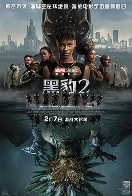 【剧情片】黑豹2